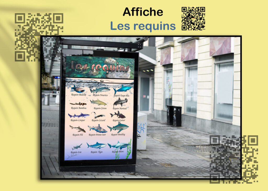 affiche requins yoann-webdraw.fr infographie